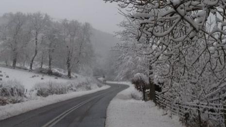 Trunk Road in snow winter